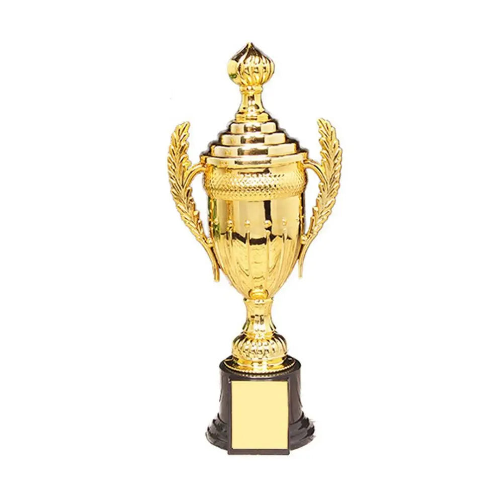 Trofeo Infantil de Fútbol - Premiación Escolar.