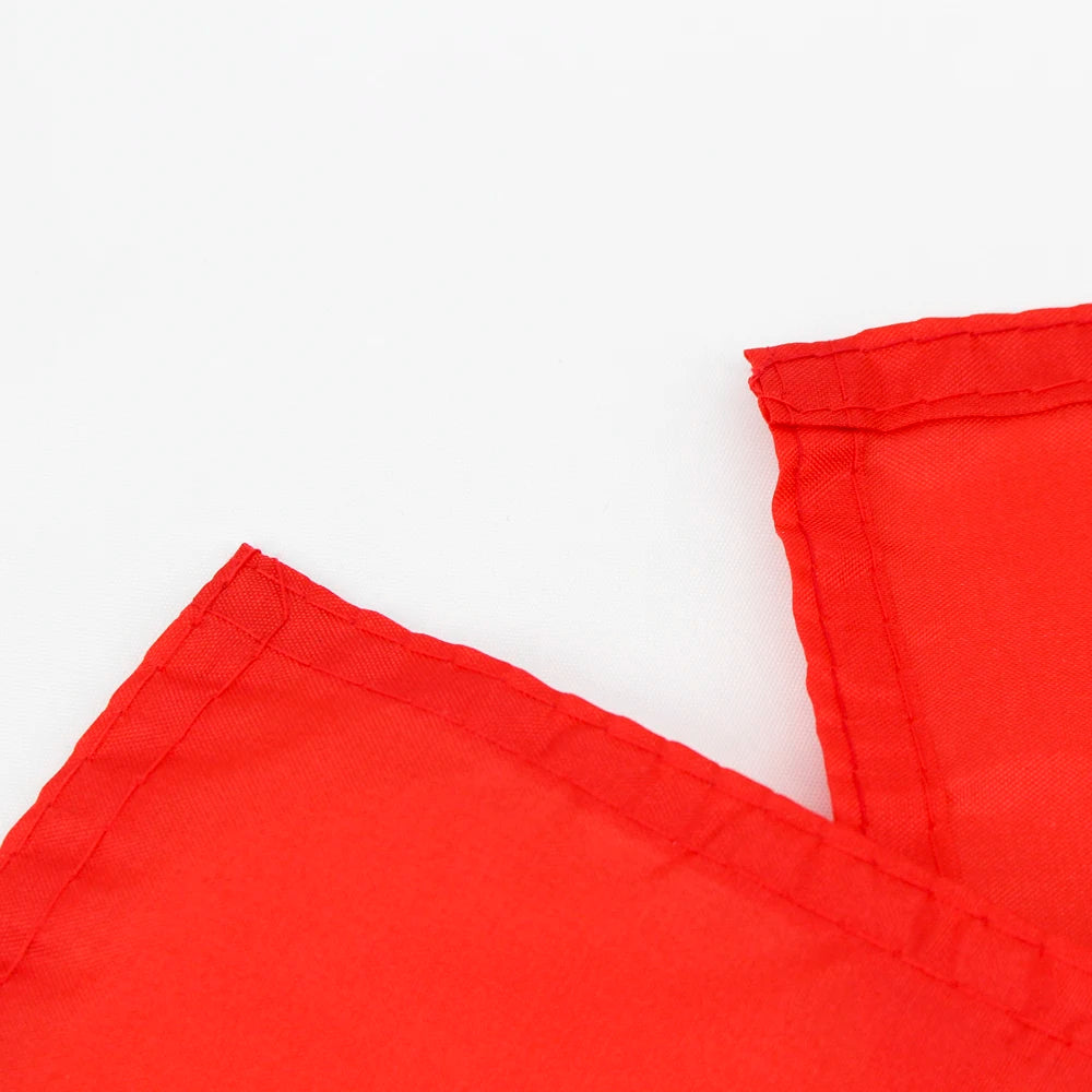 Título sugerido: Bandera de Francia - Azul, Blanco y Rojo