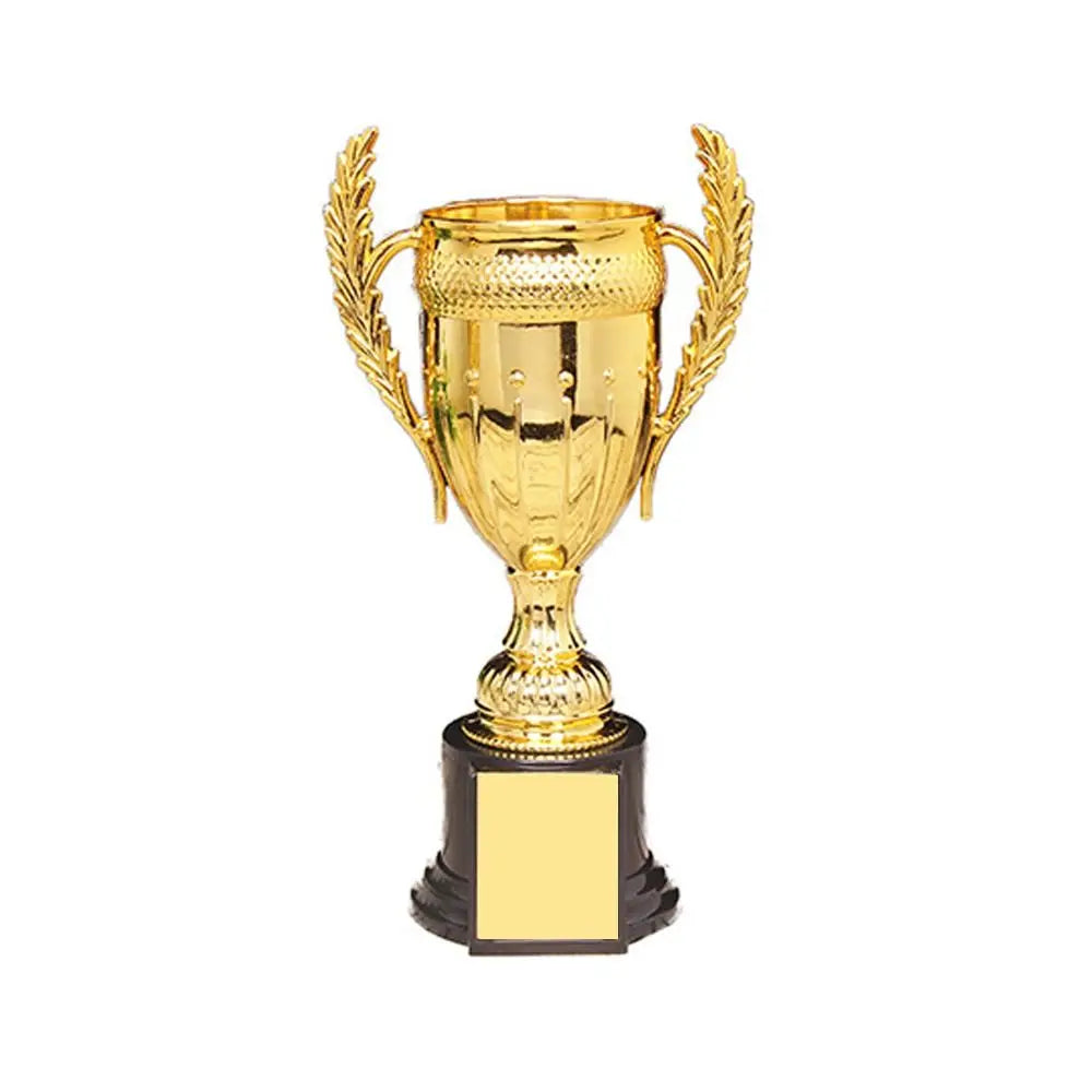 Trofeo Infantil de Fútbol - Premiación Escolar.