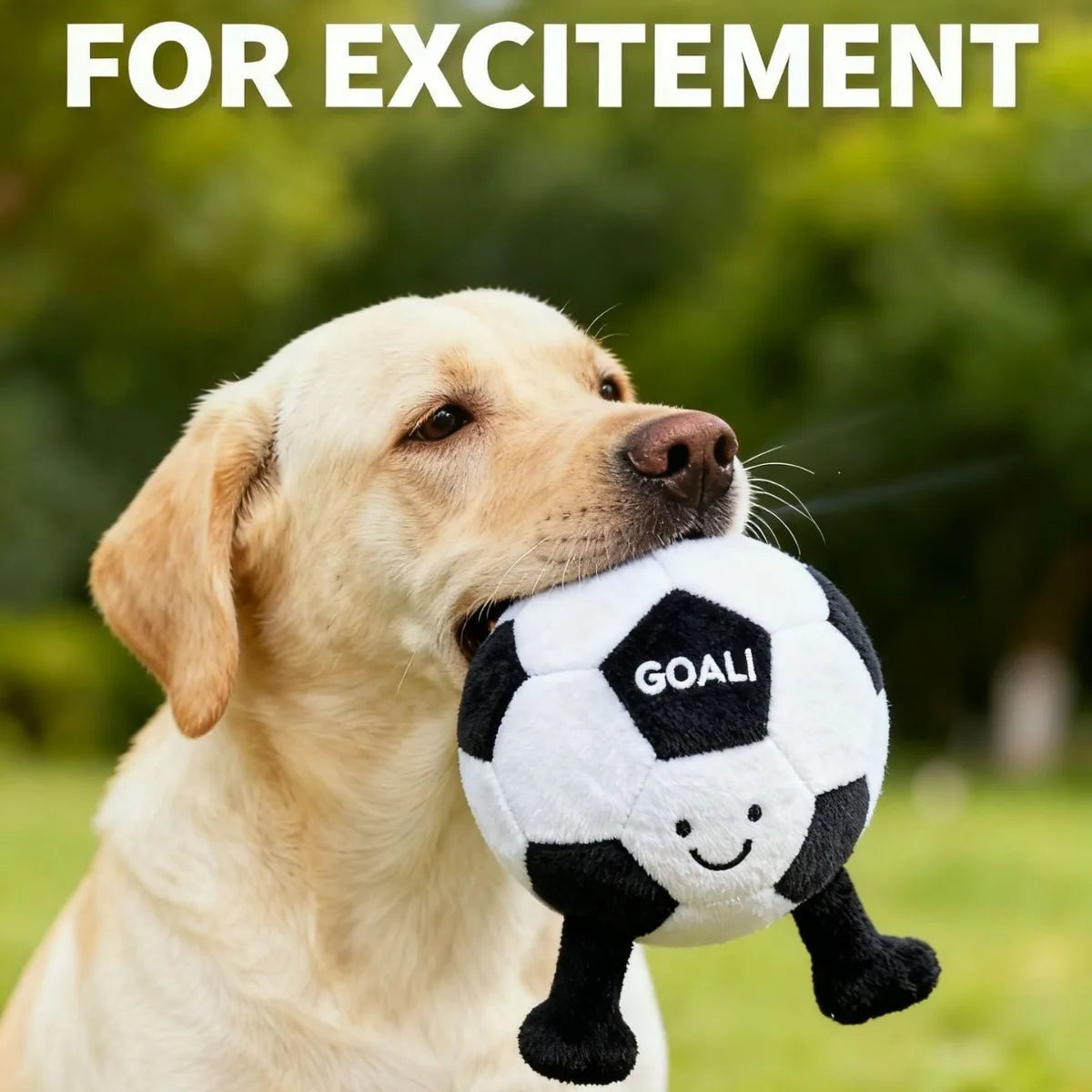 Juguete de Fútbol para Perros - Pelota Interactiva IQ