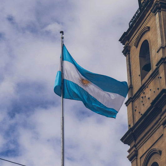 Bandera de Argentina - Decoración Hogar y Jardín