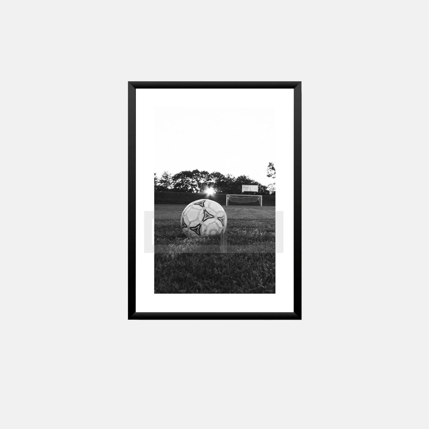 Cuadro Balón de Fútbol Blanco y Negro - Estilo Moderno